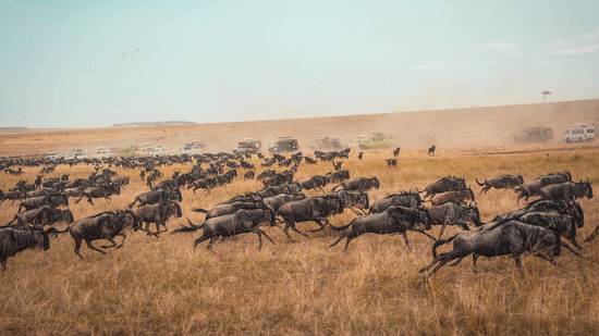 The Great Analytics Migration The Great Analytics Migration